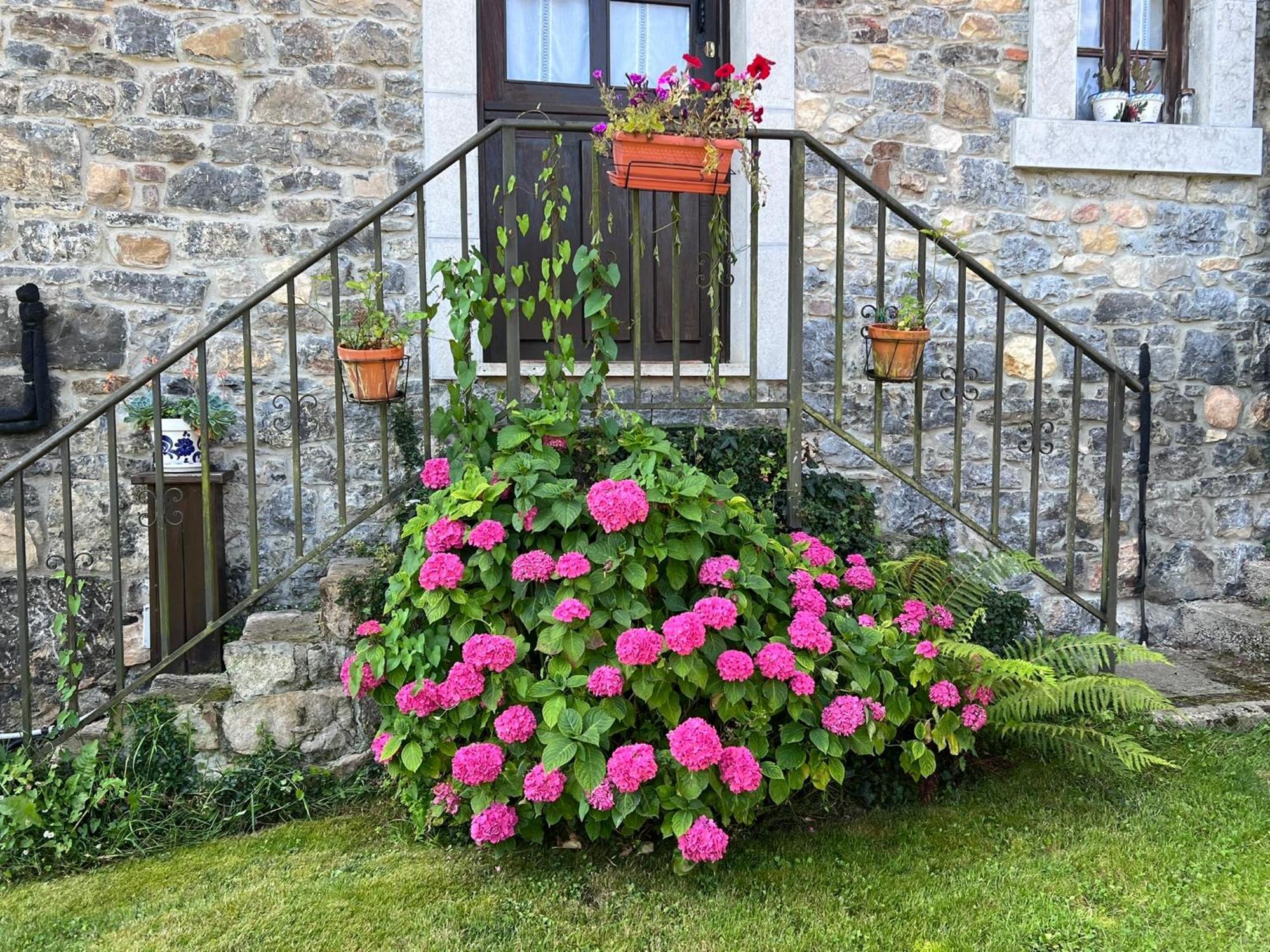 Casa Rural Casa Cerezal Cangas de Onis Exterior photo